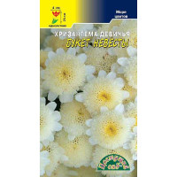 Хризантема Букет Невесты Девичья ЦветСад Ц