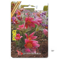 Прострел Рэд (сон-трава) обыкн Биотехника Цх10