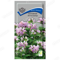 Котовник Розовая пантера Поиск Ц