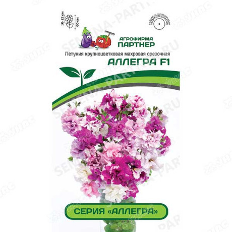 Петуния Аллегра Партнер Ц