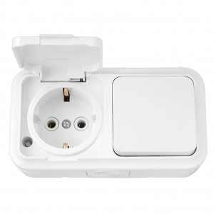 Bylectrica ПРАЛЕСКА АКВА блок (роз. 16А + 1 кл. выкл. 10А) ОУ бел. (земля, крышка, IP54) В-РЦ-657