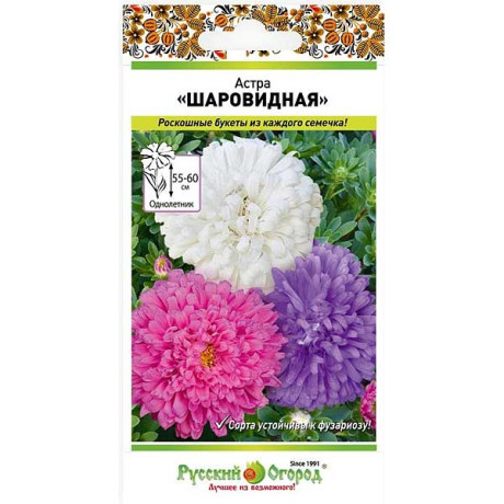 Астра Шаровидная смесь НК