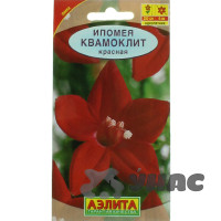 Ипомея Квамоклит красная Аэлита Ц