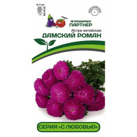 Астра Дамский роман Партнер Ц