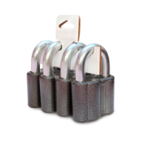 Замок висячий ВС2М1 КОМПЛЕКТ (из 4-х замков + общие 9ключей) Чебоксары  \6