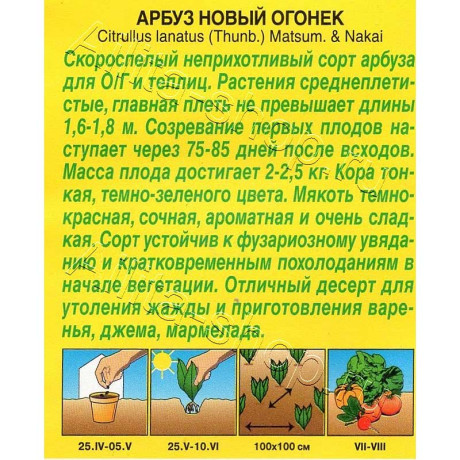 Арбуз Новый огонек Аэлита