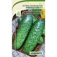Огурец Рубинштейн F1 5шт Rijk Zwaan/Садовита Ц