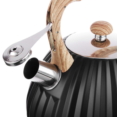 VETTA Чайник стальной 2,7л "Винзен", индукция