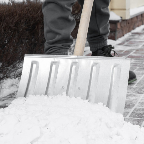 Лопата для уборки снега стальная оцинкованная, 420х370х1370 мм, деревянный черенок, Сибртех