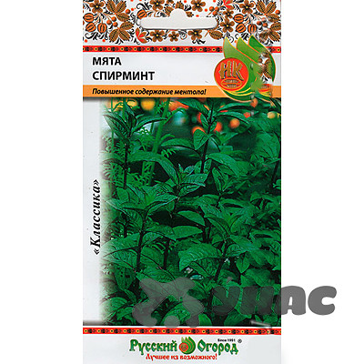 Мята Спирминт НК Ц