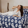 PROVANCE Нэви Комплект постельного белья 2 (4 предмета), бязь, 100% хлопок, 2 дизайна