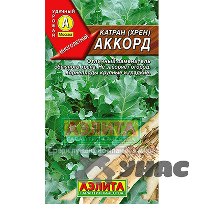 Катран Аккорд Аэлита Ц