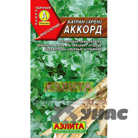 Катран Аккорд Аэлита Ц