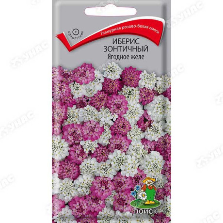 Иберис Ягодное желе Поиск Ц