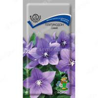 Платикодон Синий Поиск Ц