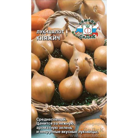 Лук шалот Княжич Седек Ц