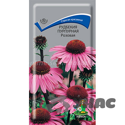 Рудбекия Розовая Поиск Ц