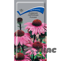 Рудбекия Розовая Поиск Ц
