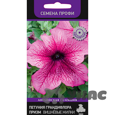 Петуния Призм Вишневые жилки Поиск Ц
