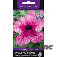 Петуния Призм Вишневые жилки Поиск Ц