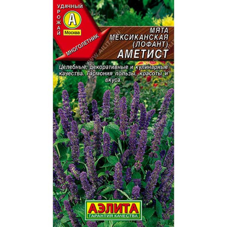 Мята Мексиканская Аметист Аэлита Ц