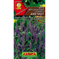 Мята Мексиканская Аметист Аэлита Ц