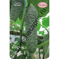 Огурец Аякс (Нидерланды) Каприс