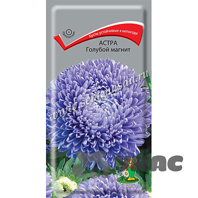 Астра Голубой магнит Поиск Ц