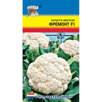 Капуста Фремонт цв. Урожай у дачи Ц