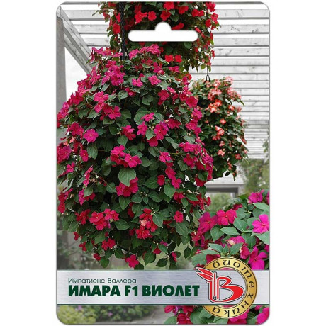Импатиенс Валлера Имара F1 Виолет Биотехника Ц