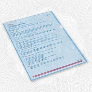 Папка уголок п/э цв. E-100/295T синяя Россия 495373