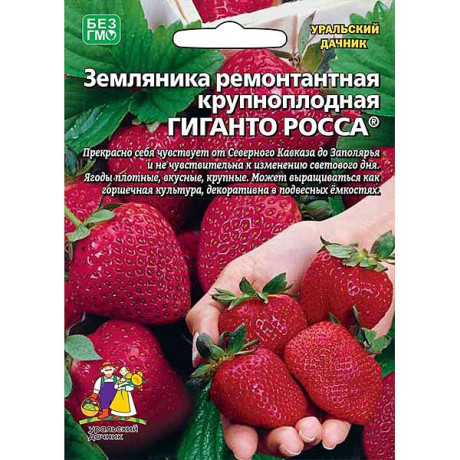 Земляника Гиганто Росса Марс Ц