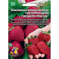 Земляника Гиганто Росса Марс Ц