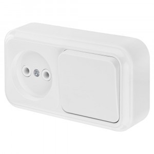 Bylectrica Пралеска блок (роз. 16А + 1 кл. выкл. 10А) ОУ бел. В-РЦ-521