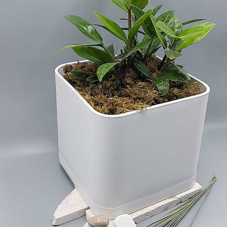 Горшок 5,10л белый 104/20-1 х8