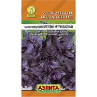 Базилик Фиолетовый Крупнолистный Аэлита Ц x10