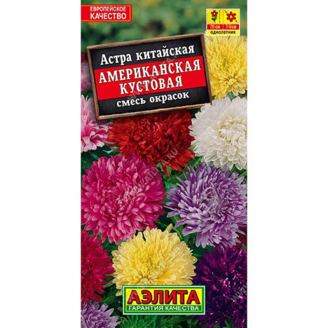 Астра Американская кустовая  Аэлита Ц