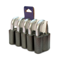 Замок висячий ВС2М1 КОМПЛЕКТ (из 5-ти замков + общие 9ключей) Чебоксары  \6