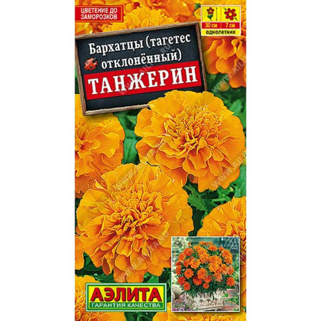 Бархатцы Танжерин Аэлита Ц