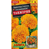 Бархатцы Танжерин Аэлита Ц