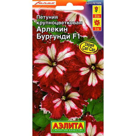 Петуния Арлекин Бургунди F1 Аэлита Ц