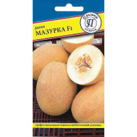 Дыня Мазурка Престиж Ц