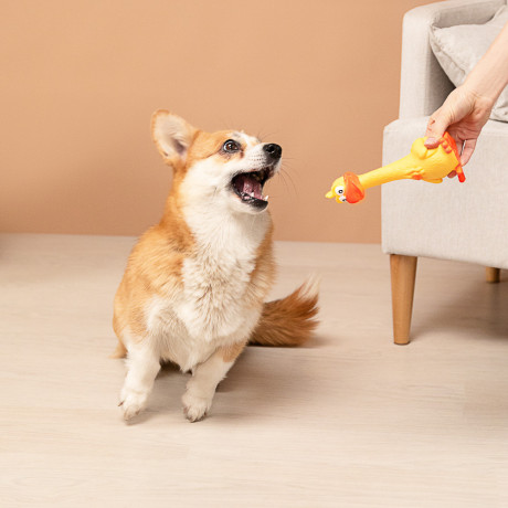 Игрушка для домашних животных тм VETTA, ПВХ, 7,5х17 см, утка