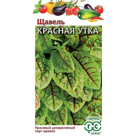 Щавель Красная Утка Гавриш Ц