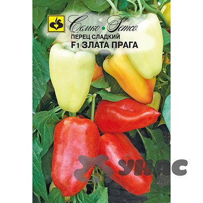 Перец Злата Прага Семко Ц