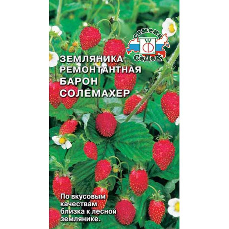 Земляника Барон Солемахер Седек Ц
