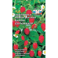 Земляника Барон Солемахер Седек Ц