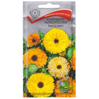 Календула Фиеста смесь Поиск Ц