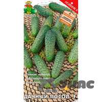 Огурец Дачный посол Поиск Ц