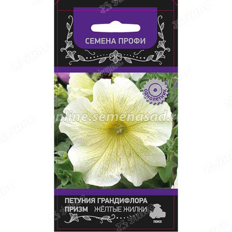 Петуния Призма Желтые жилки Поиск Ц